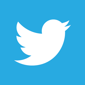 twitter logo icon twitter logo icon