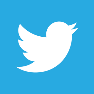 twitter logo icon